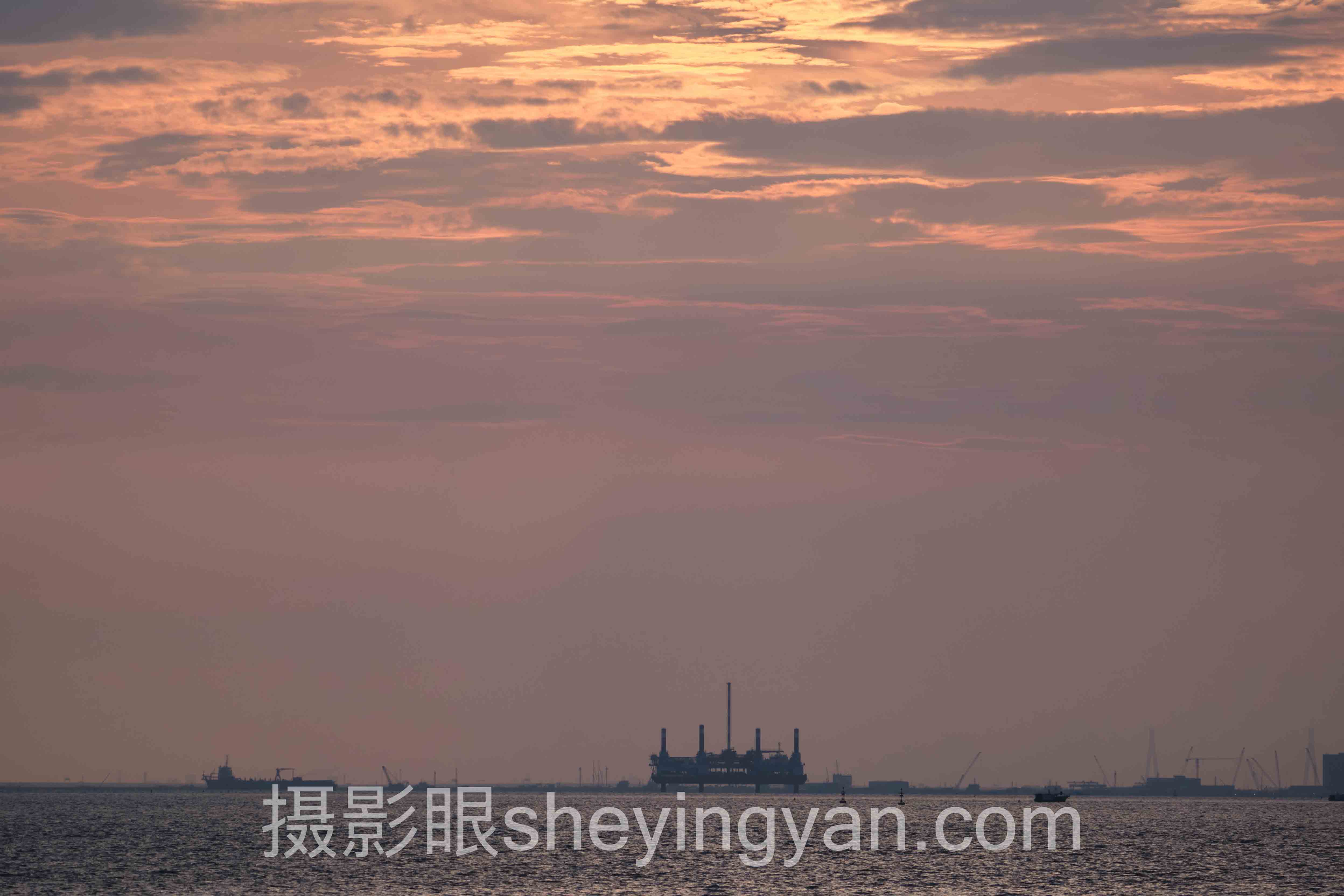 照片点评行业数据全景：6组数据揭示真相