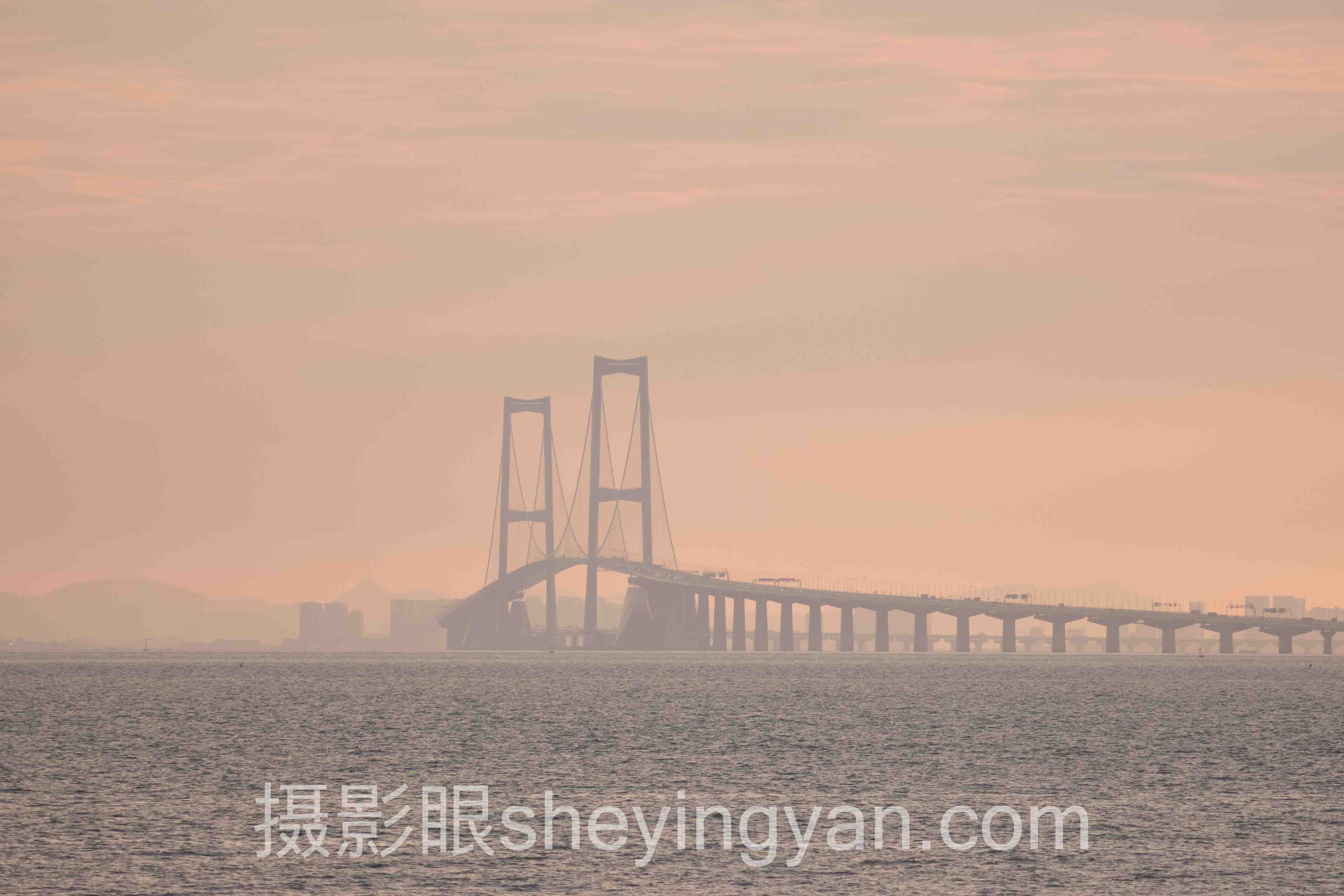 拍花朵背景虚化行业数据全景：6组数据揭示真相