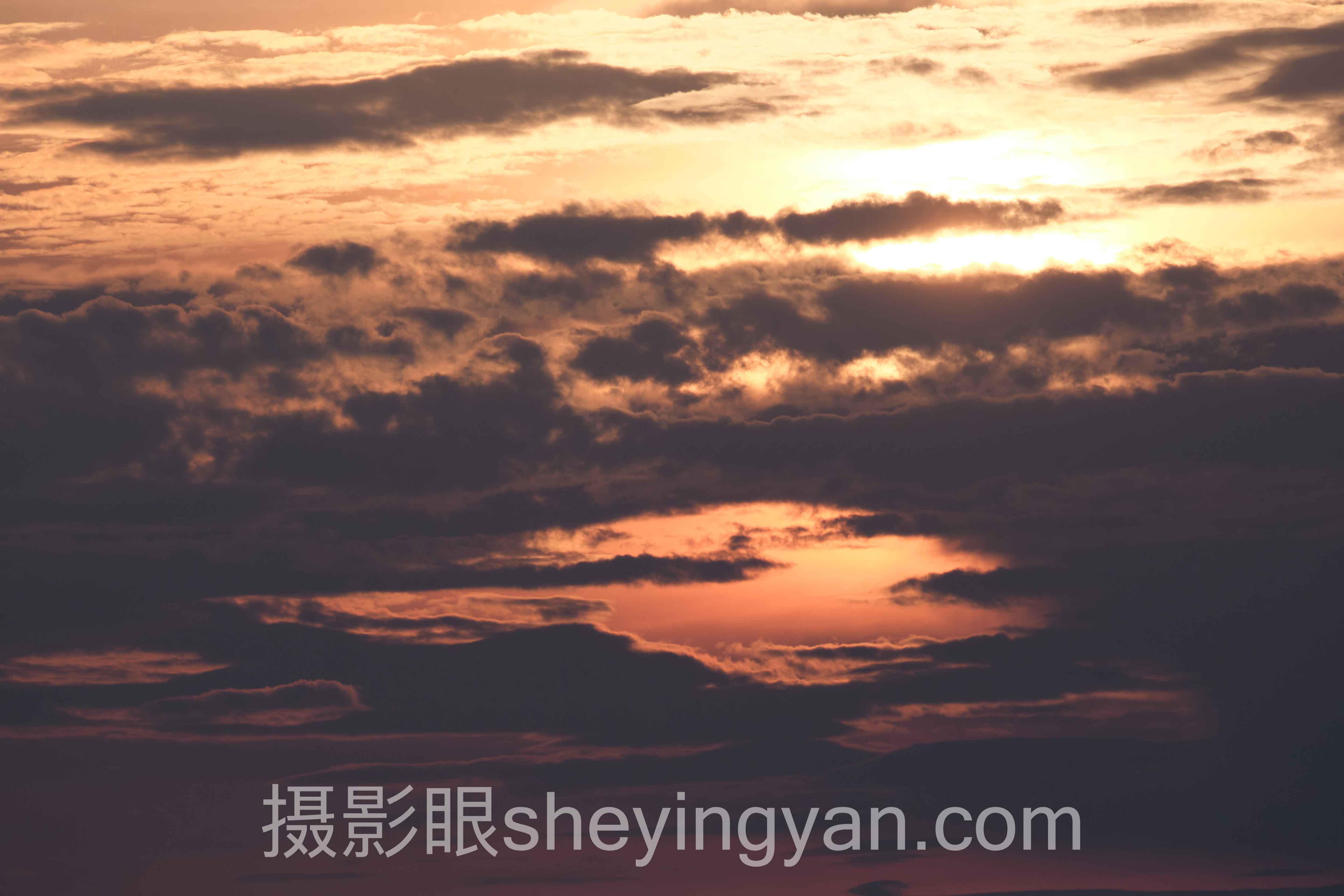2024年摄影审美风格分类数据报告：关键趋势与洞察