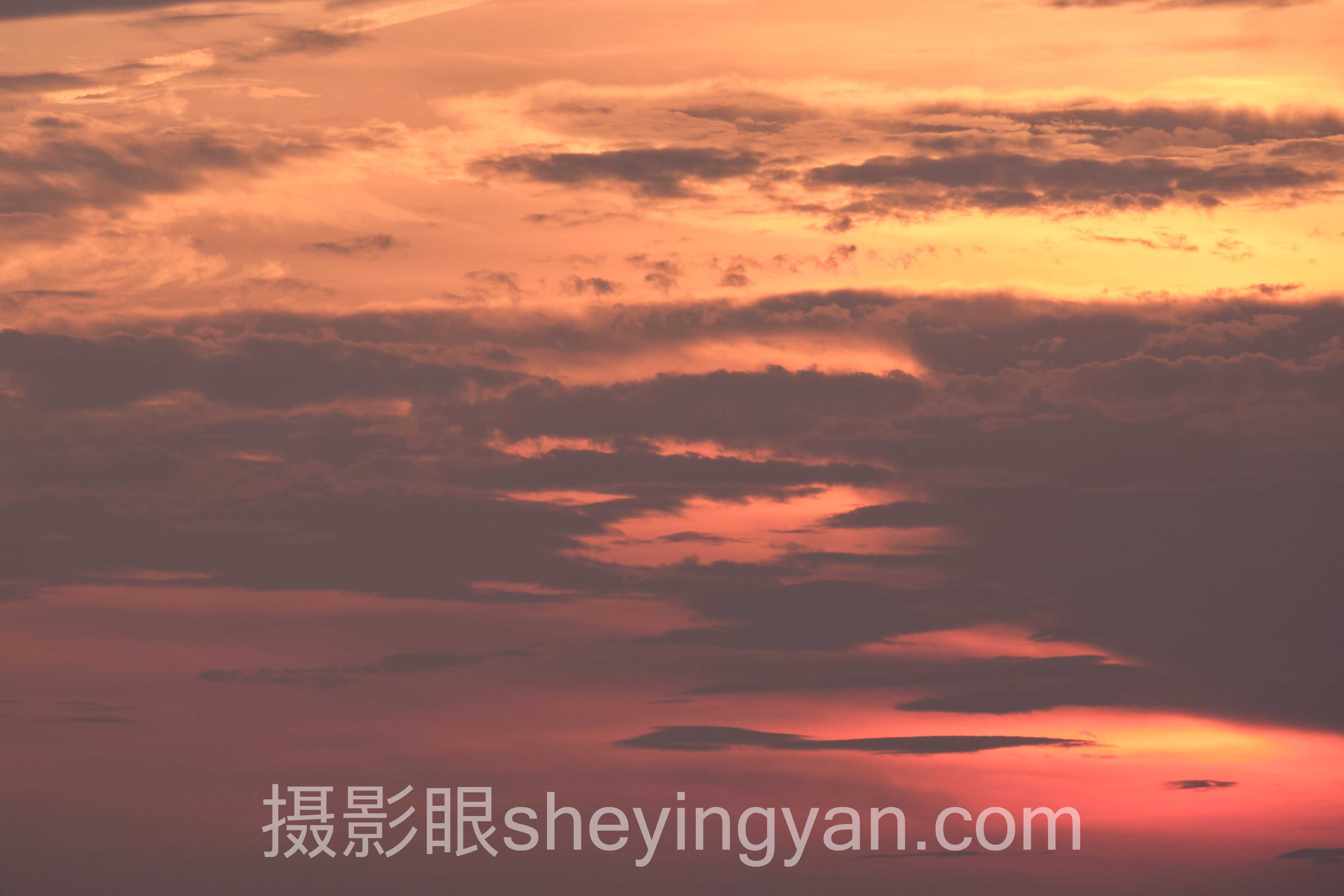 数据说话：摄影眼测试评分标准的最新发展现状