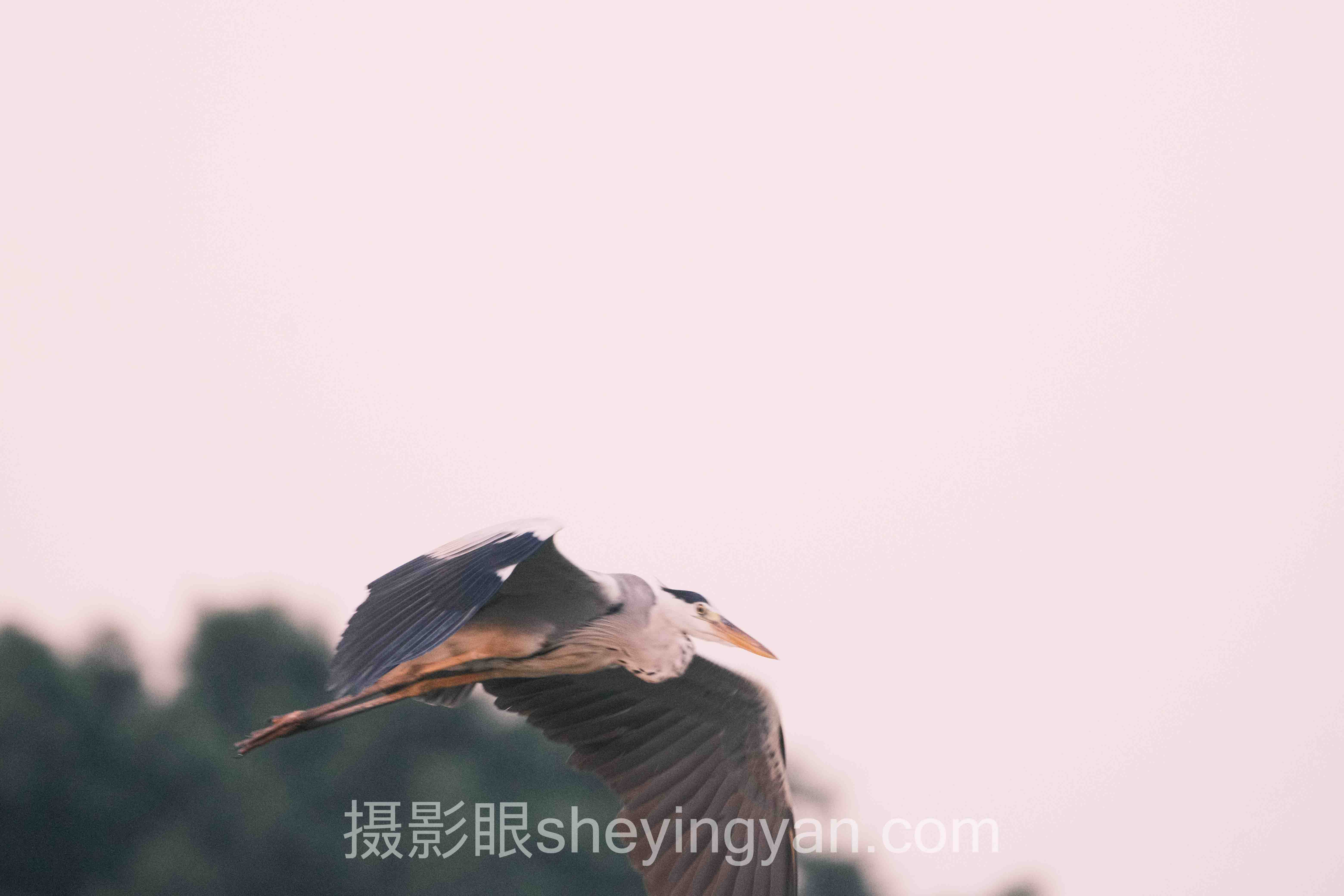 数据说话：城市摄影眼打卡地的最新发展现状