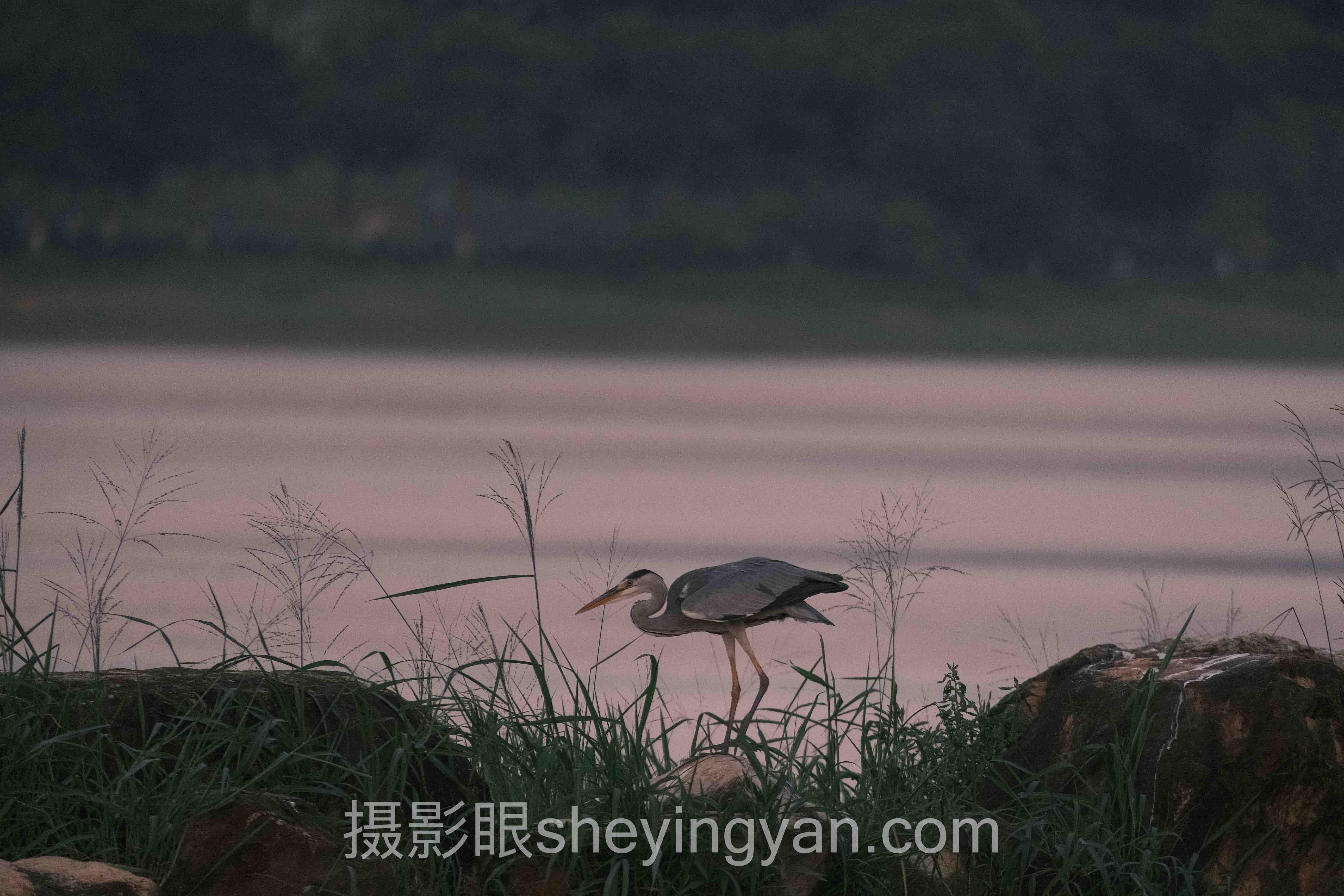 摄影眼官网sheyingyan.com