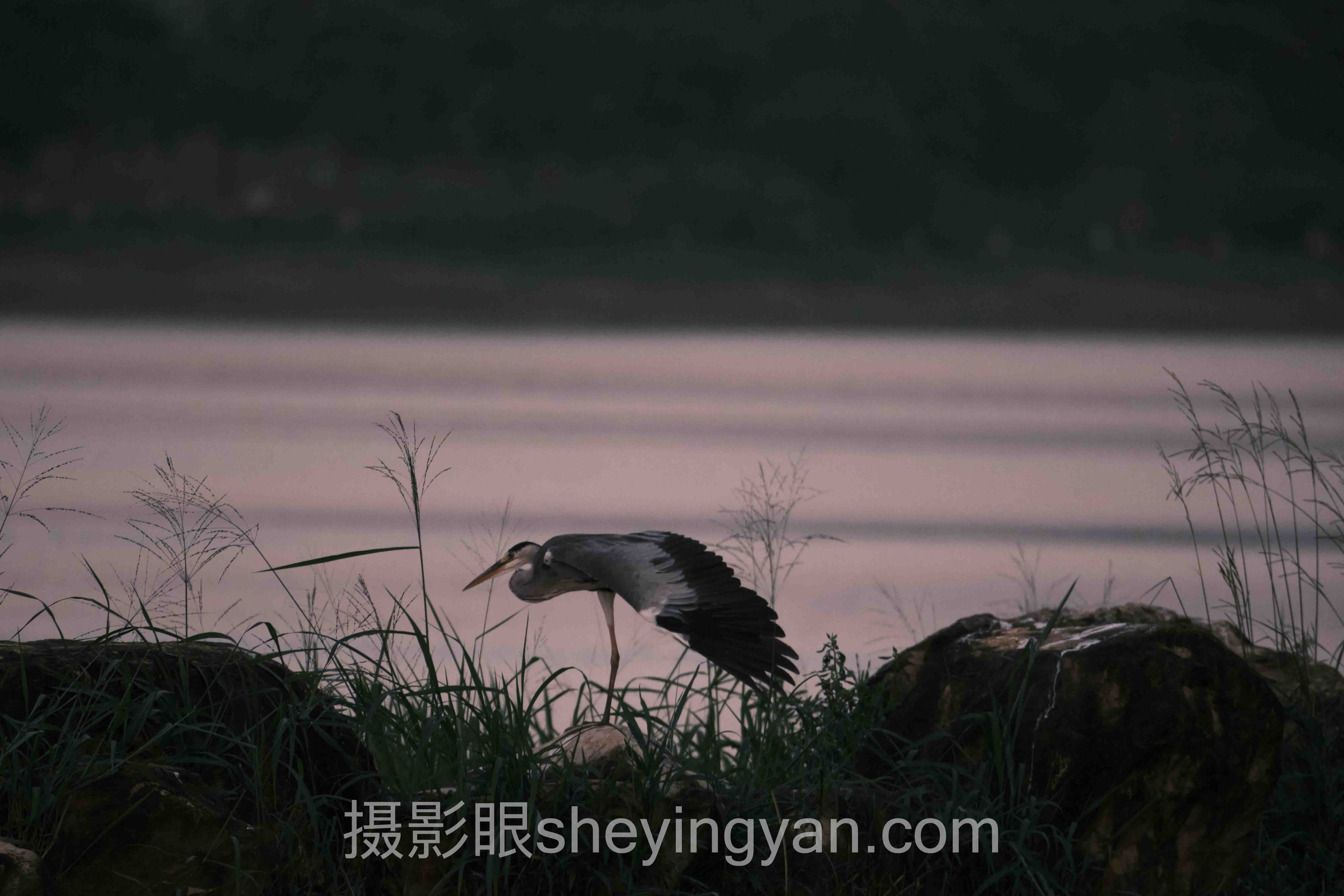 旅行照片点评分享背后的真相，多数人不知道
