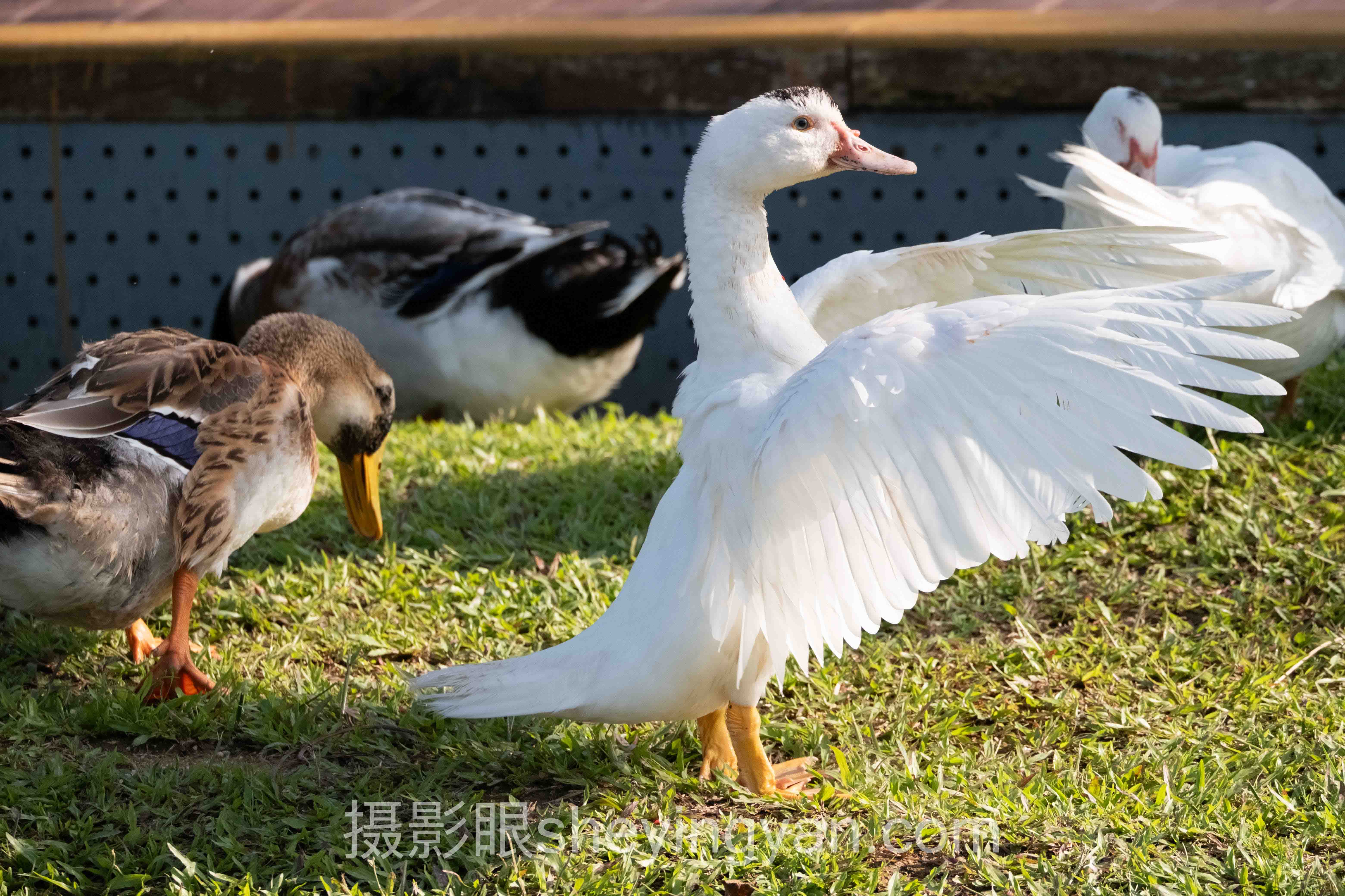求大佬点评风光照片