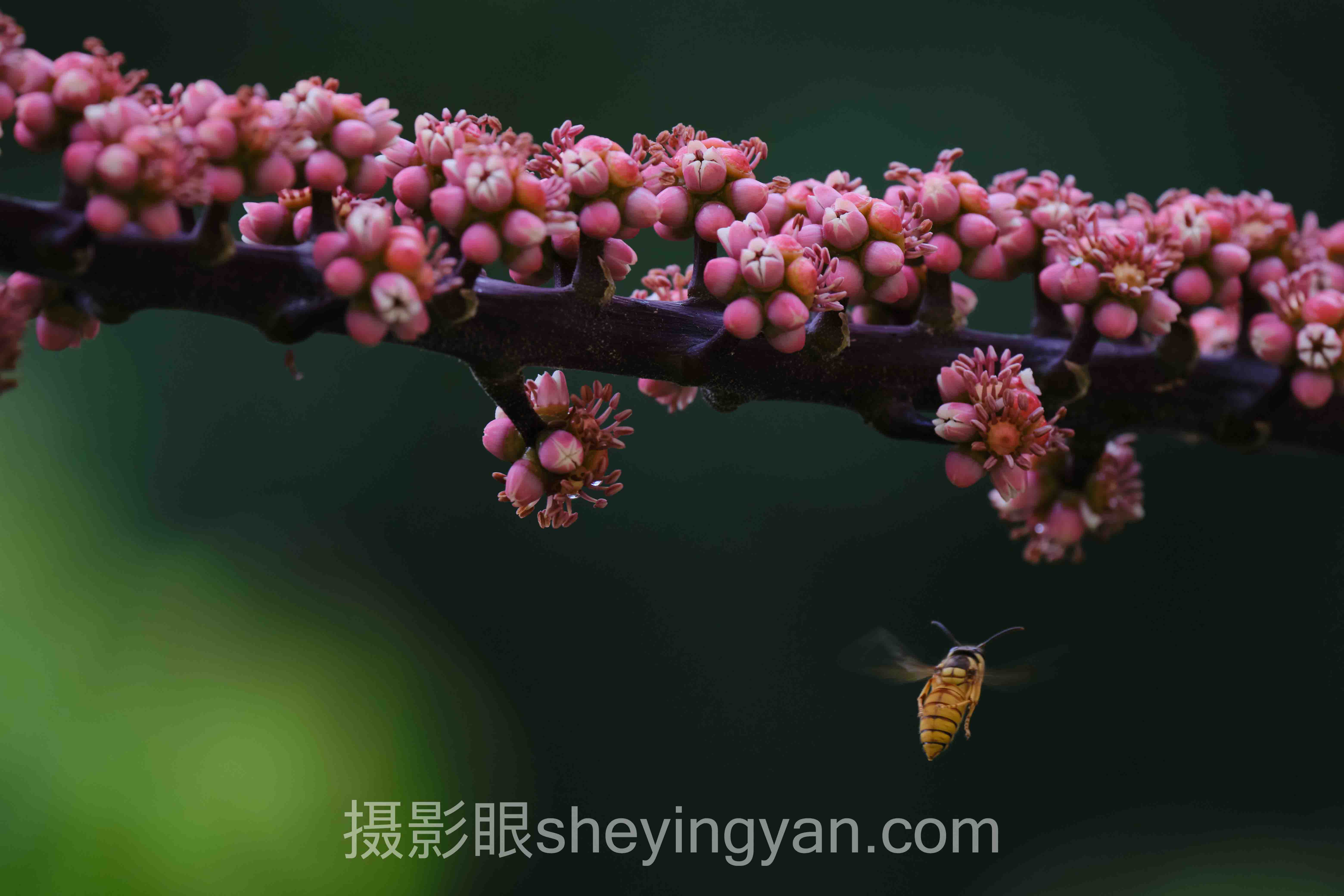 视觉中国签约赚钱吗？7组数据拆解真实收益