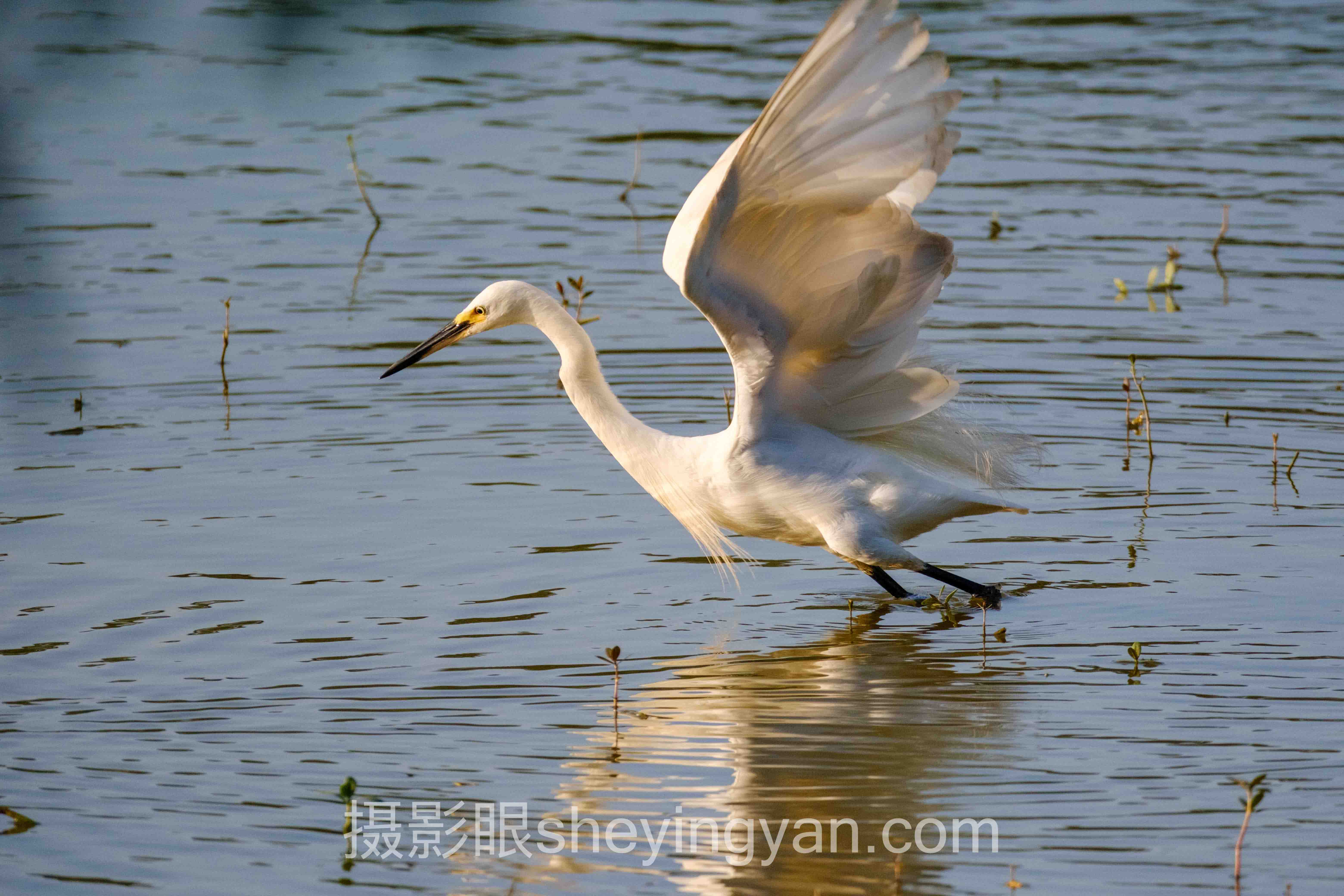 70-200镜头拍什么行业数据全景：6组数据揭示真相